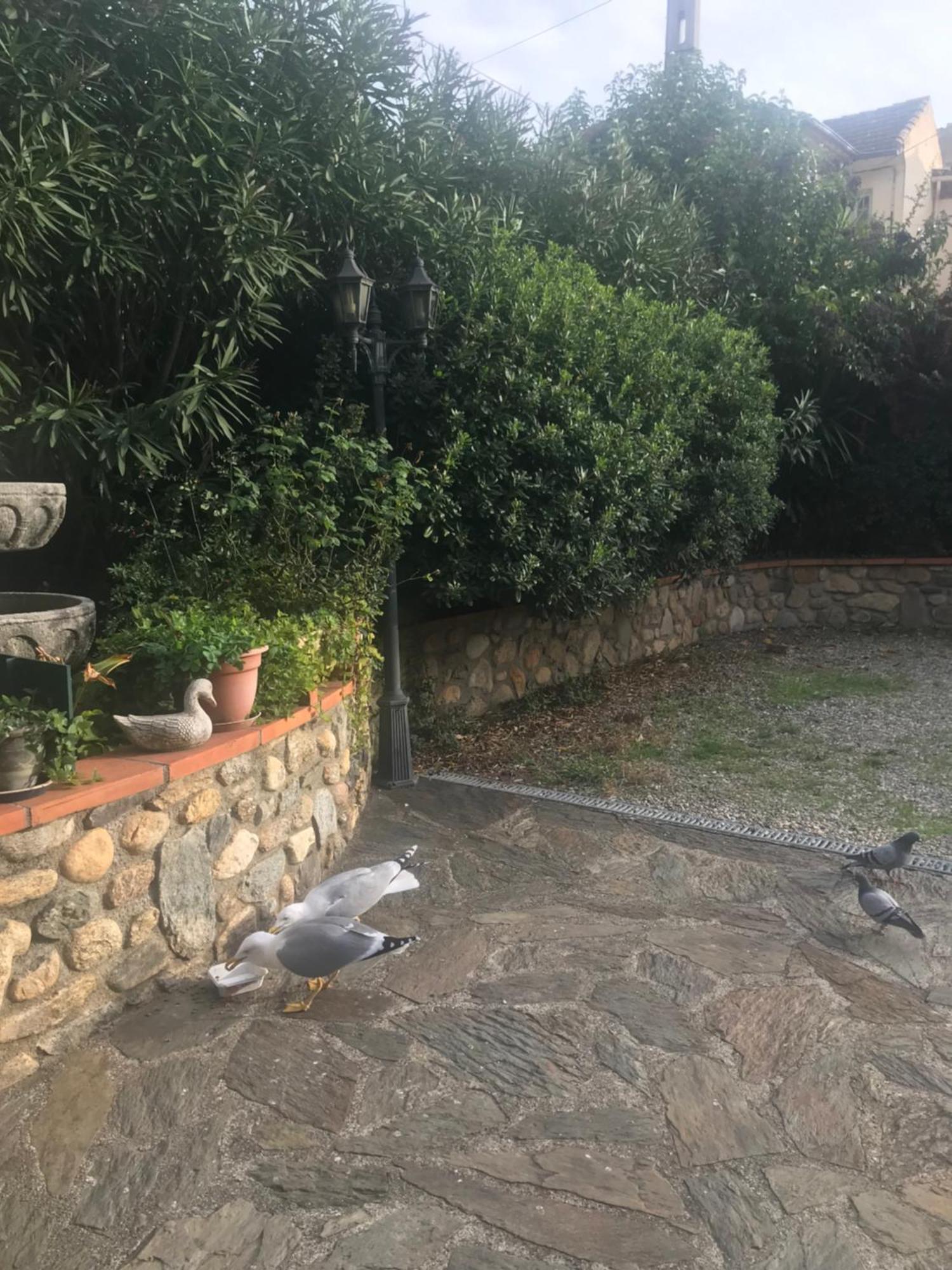 Hébergements à La Rive, Accueil ouvert tous les jours jusqu'à 20h00 dernier délai, depuis 29 ans ! Réserver ici svp ! Merci ! Aucun règlement à distance accepté, Paiement par CB, Espèces, Chèque ou Chèques-Vacances impérativement à la remise des clef Amélie-les-Bains-Palalda Exterior foto