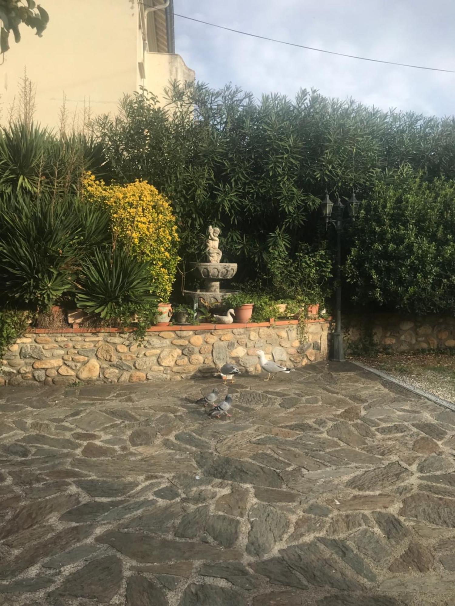 Hébergements à La Rive, Accueil ouvert tous les jours jusqu'à 20h00 dernier délai, depuis 29 ans ! Réserver ici svp ! Merci ! Aucun règlement à distance accepté, Paiement par CB, Espèces, Chèque ou Chèques-Vacances impérativement à la remise des clef Amélie-les-Bains-Palalda Exterior foto
